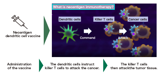Neoantigen + Dendritic Cell Vaccine Therapy